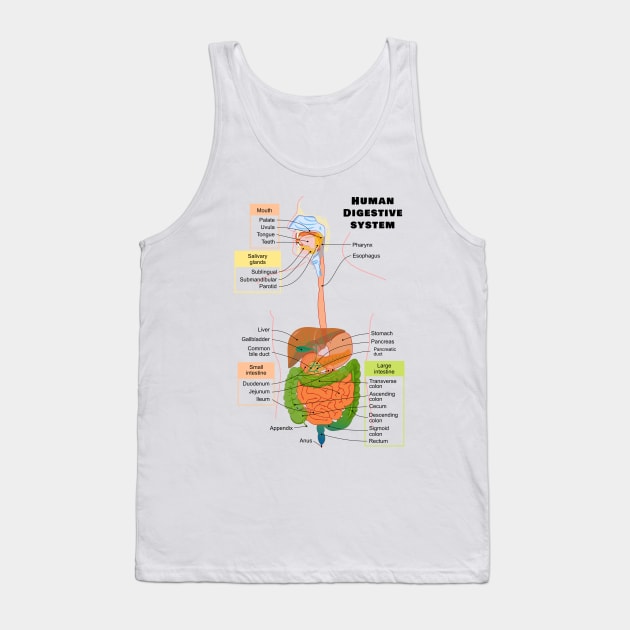 Diagram of the Human Digestive System Tank Top by sovereign120